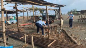 365563406_1384209932156817_6727514474536660887_n