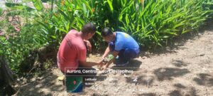 385493268_300575959372973_980528902004596328_n