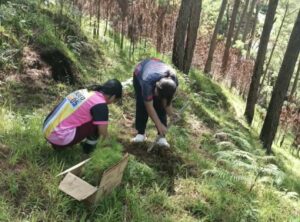 450198170_1232632434535779_8498206159802788730_n