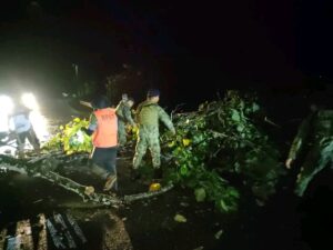 457740732_541368165072205_8422730941695321447_n