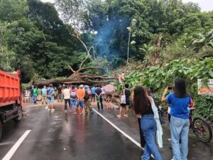 viber_image_2025-07-20_17-39-39-757