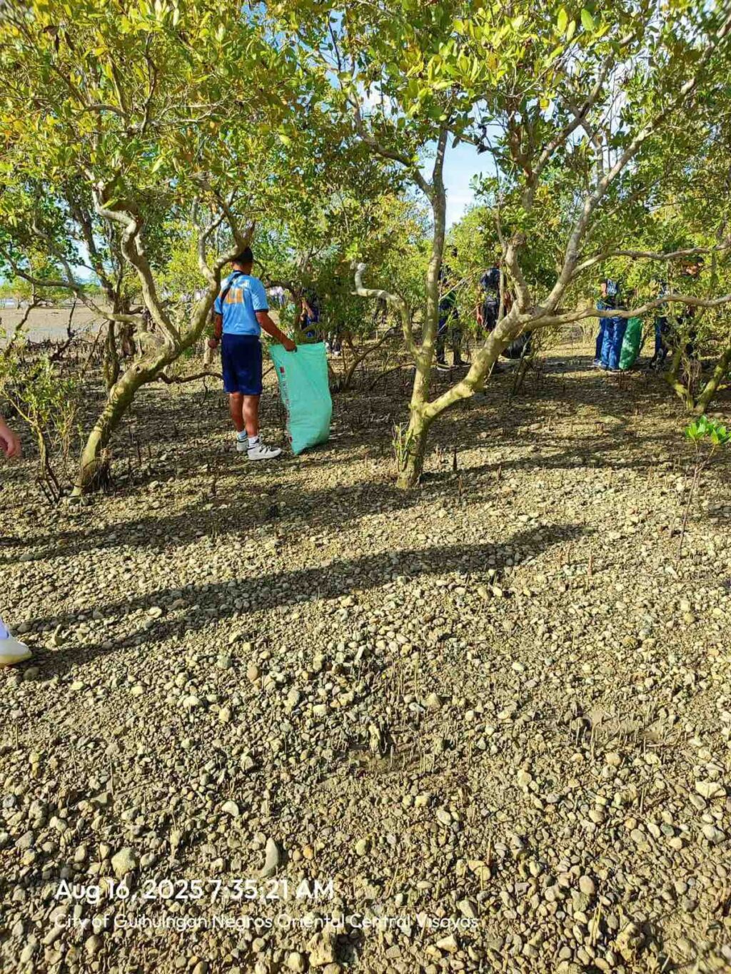 viber_image_2025-08-17_15-19-15-752