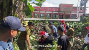 viber_image_2025-08-22_15-16-34-299