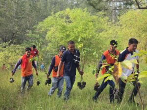 viber_image_2025-08-22_15-20-17-485