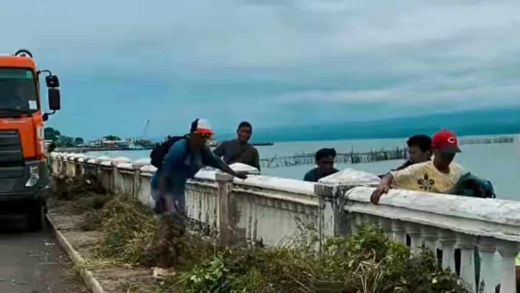 539631047_1451207049255350_2973272590923890926_n