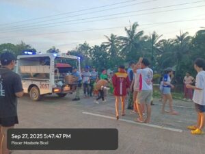 viber_image_2025-09-29_13-57-36-335