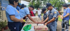 viber_image_2025-10-01_16-16-14-768