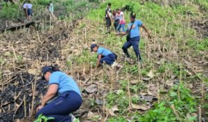 viber_image_2025-10-08_14-57-29-774