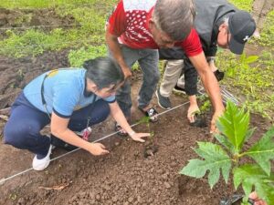 viber_image_2025-10-26_13-04-27-507