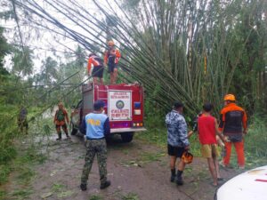 viber_image_2025-11-05_12-37-56-969