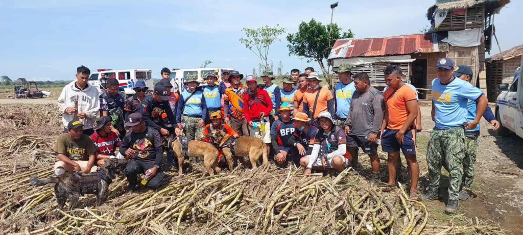 viber_image_2025-11-12_14-51-40-036