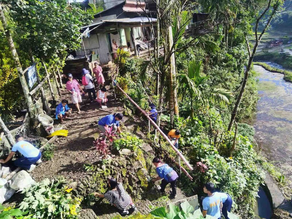 viber_image_2026-01-19_08-36-07-545