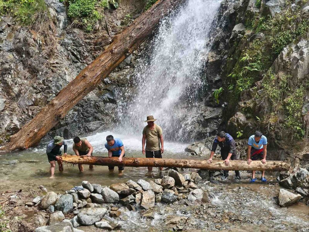 viber_image_2026-02-16_11-32-46-961