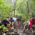 Pusong nagkakaisa para sa kalikasan: R-PSB Team at komunidad, nagtanim ng pag-asa sa araw ng mga puso