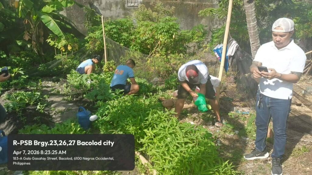 viber_image_2026-04-11_10-59-10-885