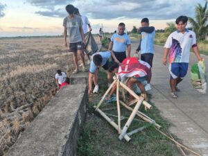 viber_image_2026-05-24_11-59-36-360