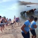 MASELCO, mga awtoridad at mangingisda, nagtulungan sa pag-alis ng harang sa Domorog River